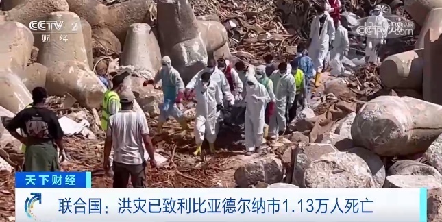 银河奇异果电脑版下载